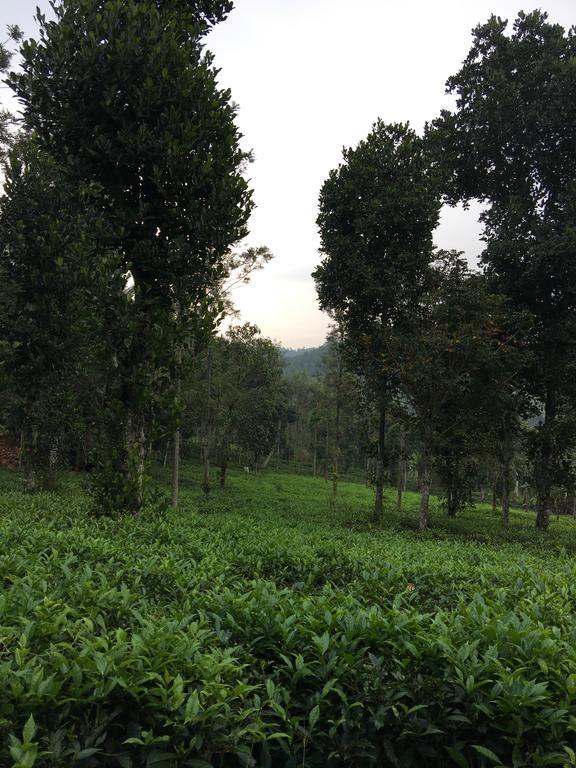술탄 바테리 Harmony Farm Wayanad 빌라 외부 사진