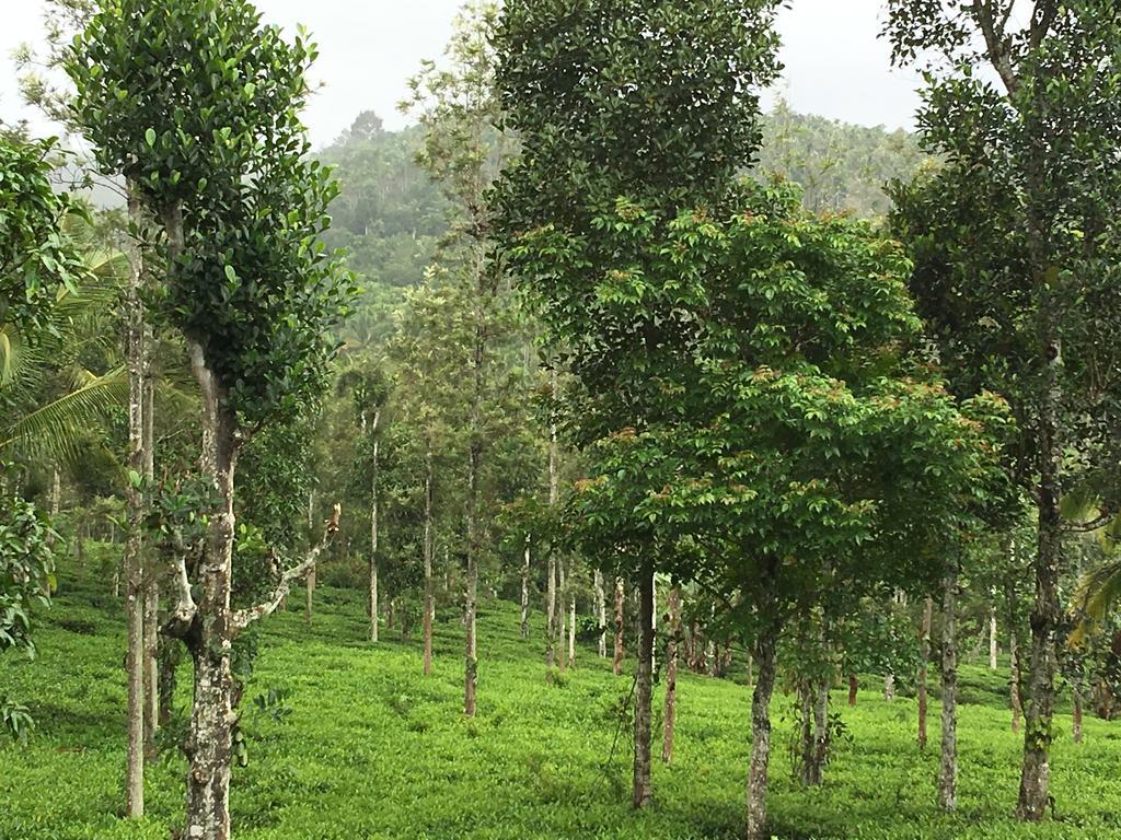 술탄 바테리 Harmony Farm Wayanad 빌라 외부 사진