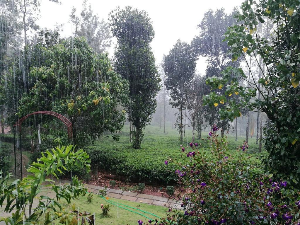술탄 바테리 Harmony Farm Wayanad 빌라 외부 사진