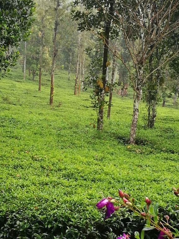 술탄 바테리 Harmony Farm Wayanad 빌라 외부 사진