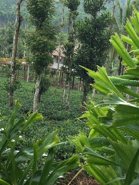 술탄 바테리 Harmony Farm Wayanad 빌라 외부 사진